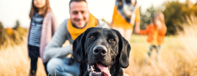 A family in a field with a black Labrador