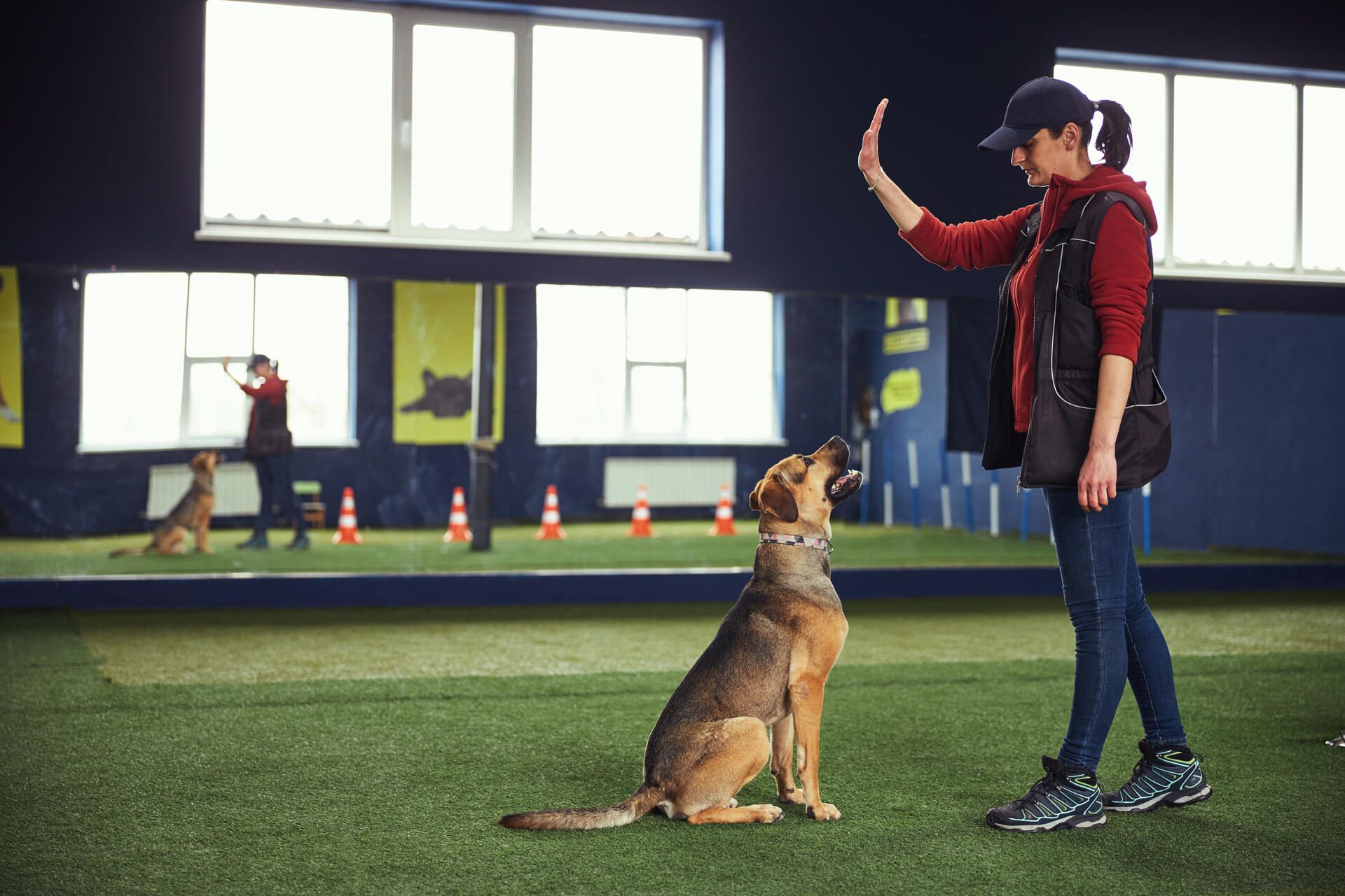 A woman using a hand signal to train a deaf dog