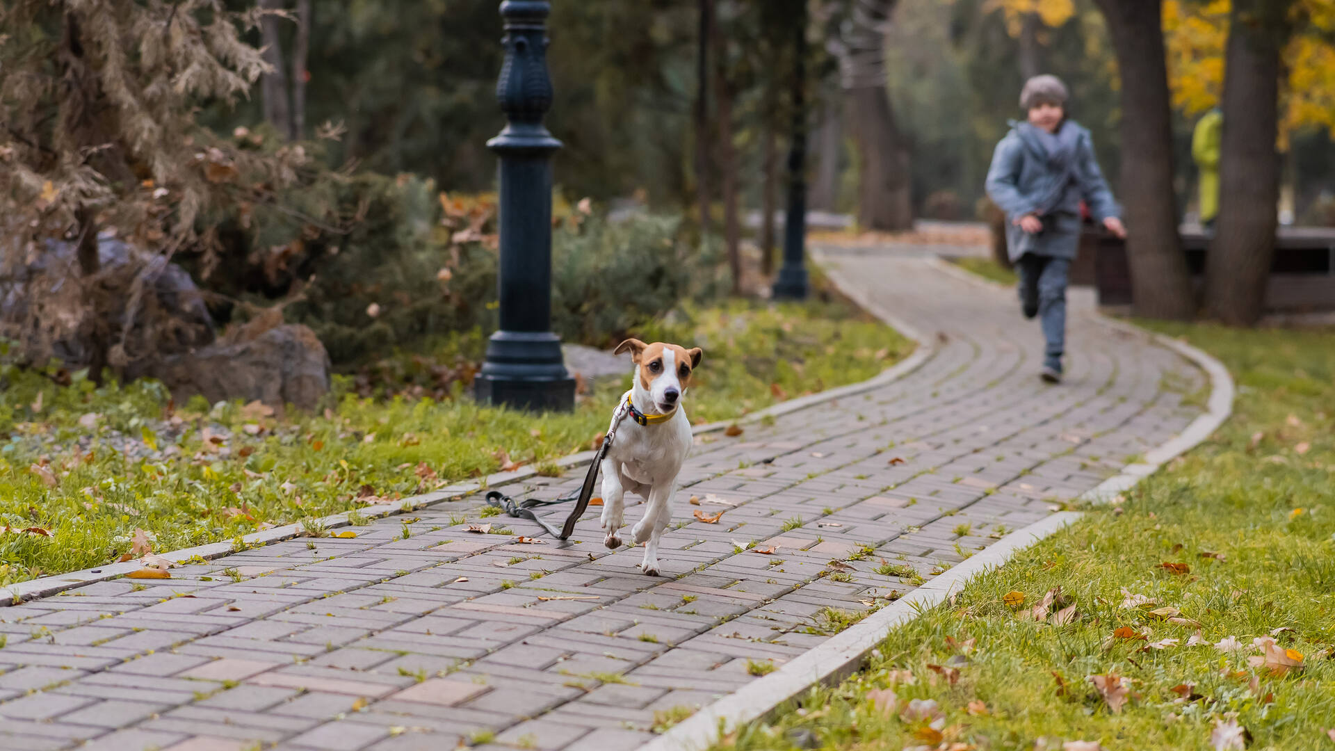 A boy chasing a dog that's running off-leash