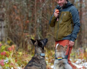 @austrianmusher with Tractive GPS for Dogs