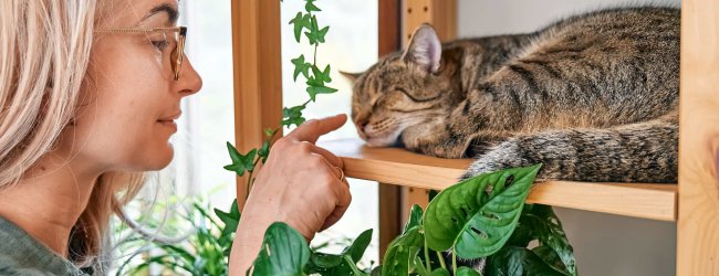 A woman playing with a cat lying on a platform surrounded by plants