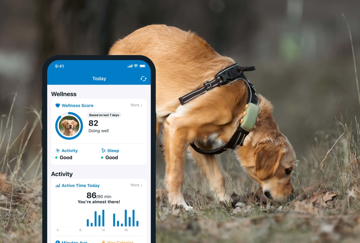 Activity monitoring with new Tractive GPS DOG 4 on smartphone