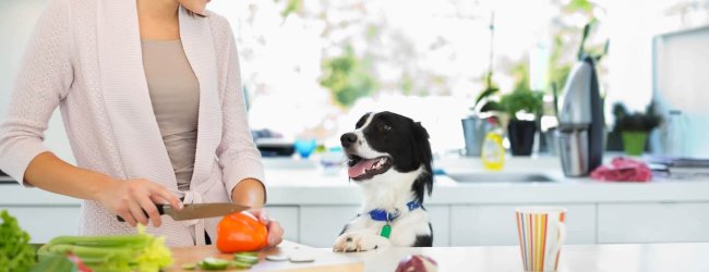 woman in kitchen chopping vegetables, dog looking up on counter