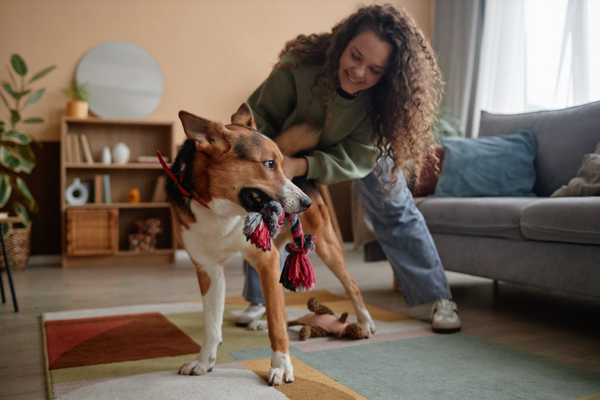 A girl playing tug of war with her dog indoors