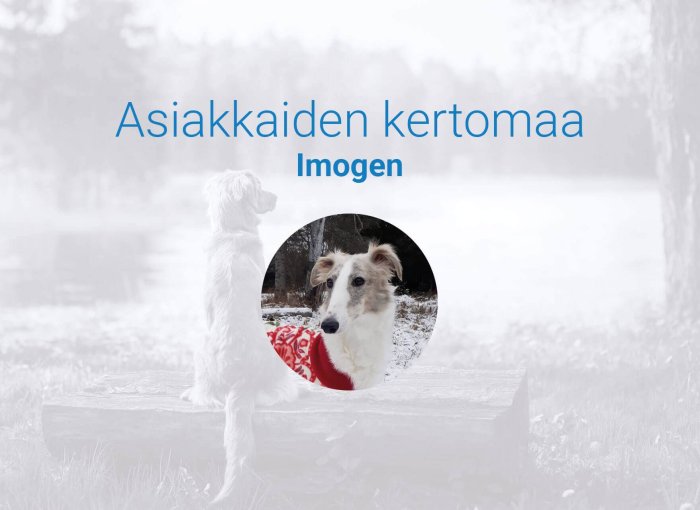 Asiakkaiden kertomaa - Imogen