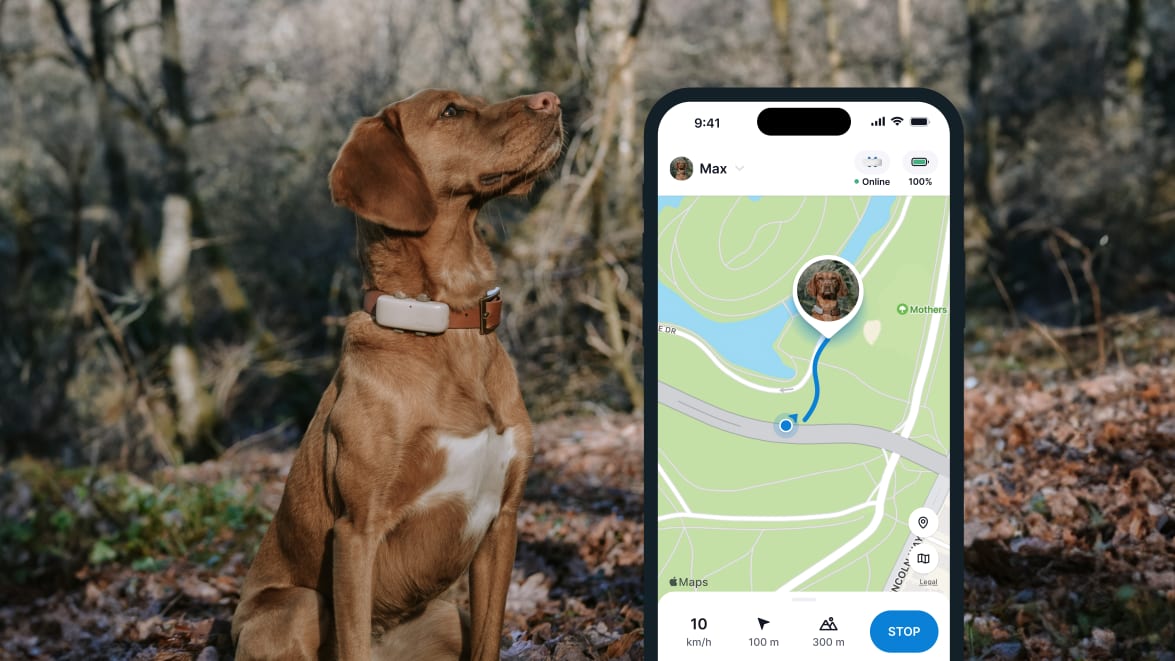 LIVE Tracking with new Tractive GPS DOG 4