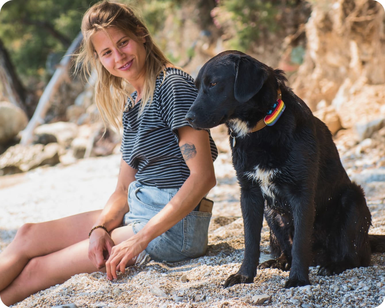 Dog sitting on a beach with parent