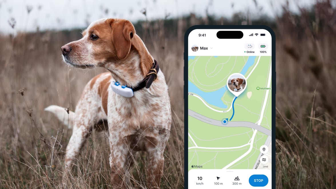 LIVE Tracking with new Tractive GPS DOG 4