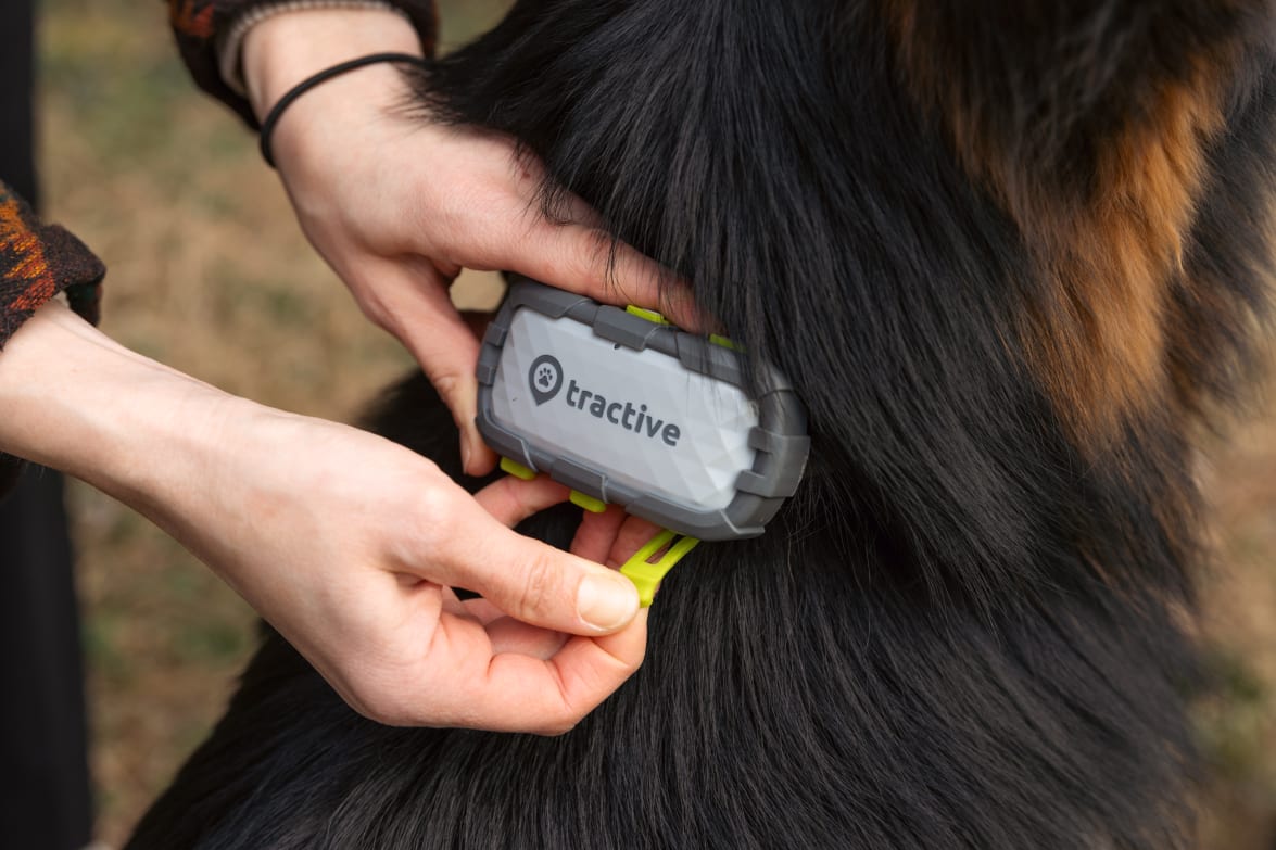 Removing dog xl adventure clips from tracker