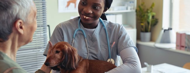 A woman consulting with her vet