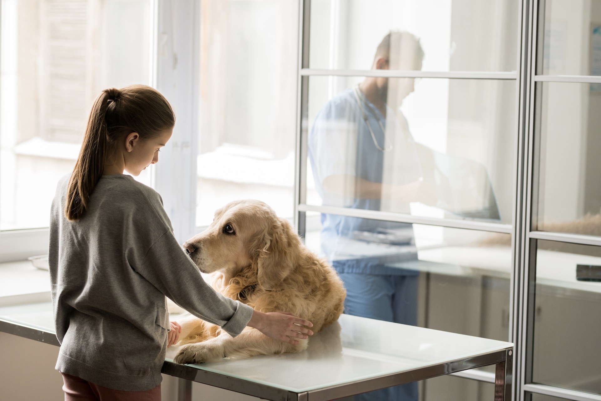 A woman comforting a sick dog at a vet's clinic