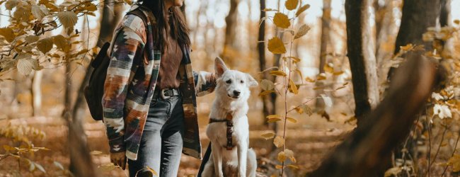 A woman leading a white dog on a leash through the woods