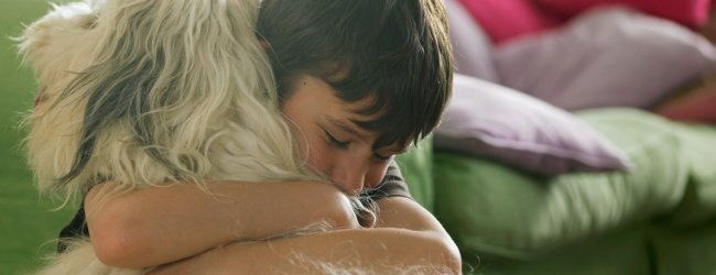 A little boy hugging a dog indoors