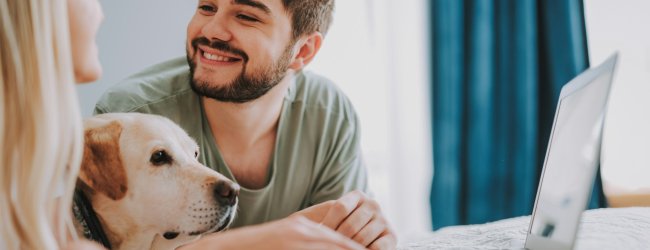 A couple checking insurance plans online along with their dog