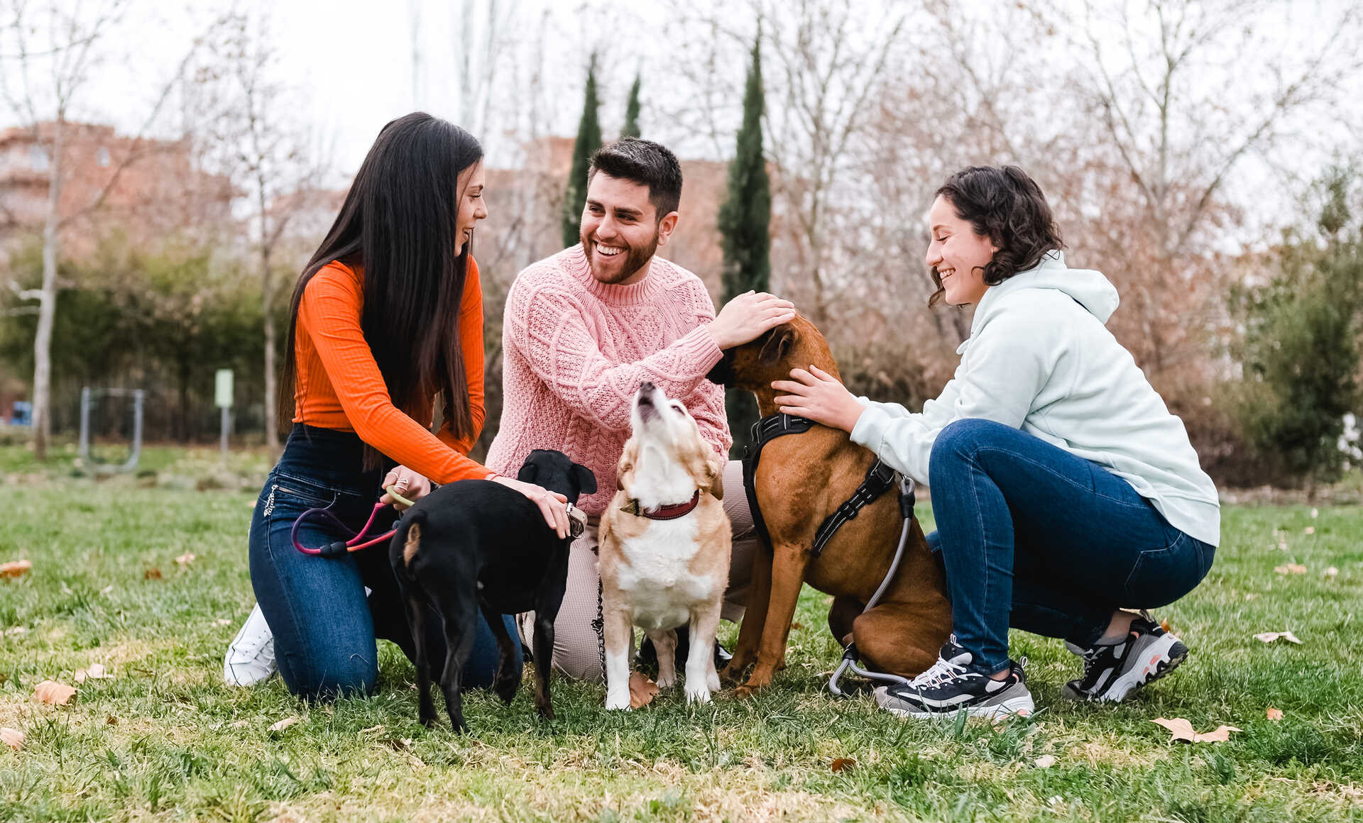 A group of dog walkers socializing at a park