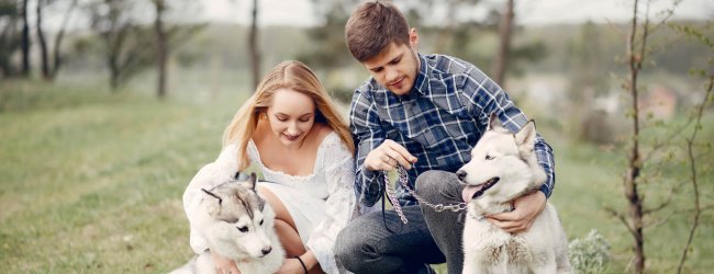 Mann und Frau mit ihren Hunden in der Natur