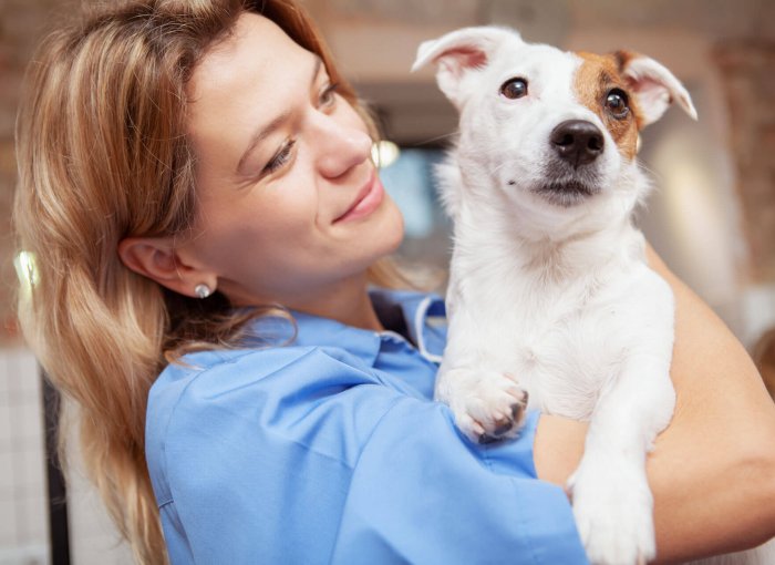 vrouwelijke dierenarts die een witbruine hond vasthoudt