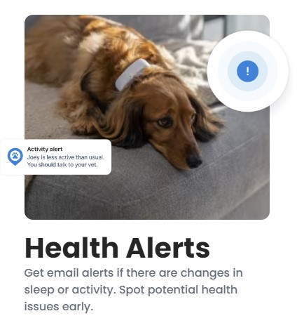 Tractive Health Alerts