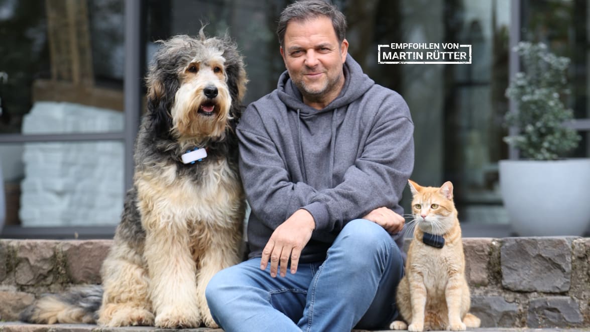 Martin Rütter mit Hund