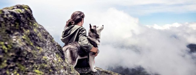 5 tips adventures with dogs