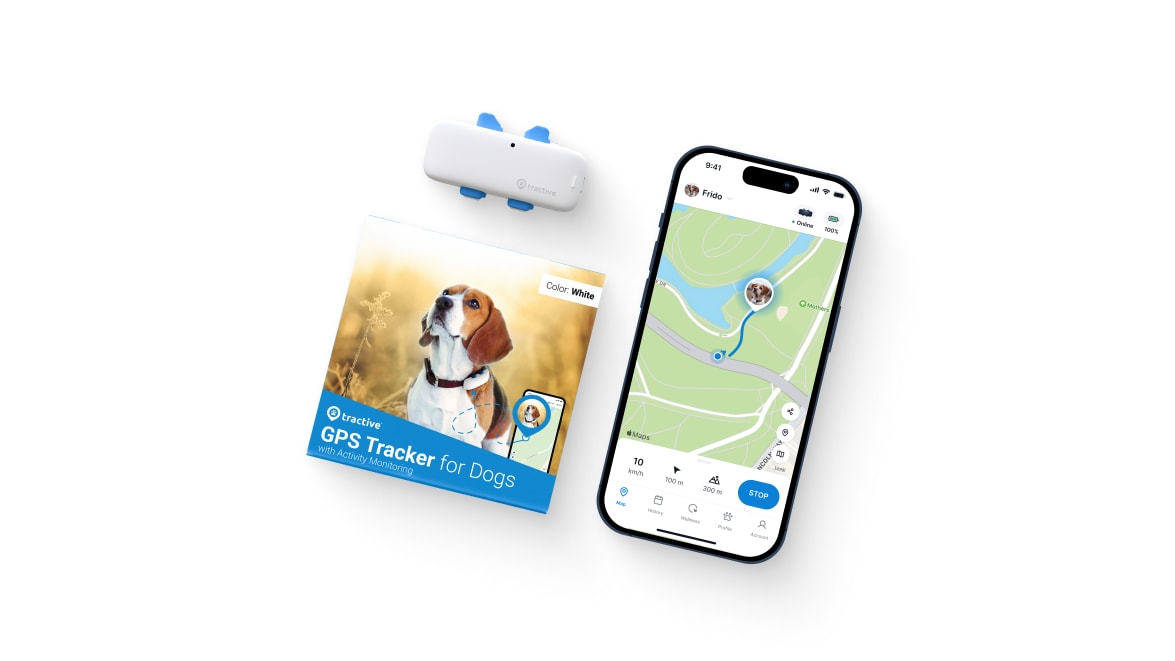 Packaging of Tractive GPS DOG 4