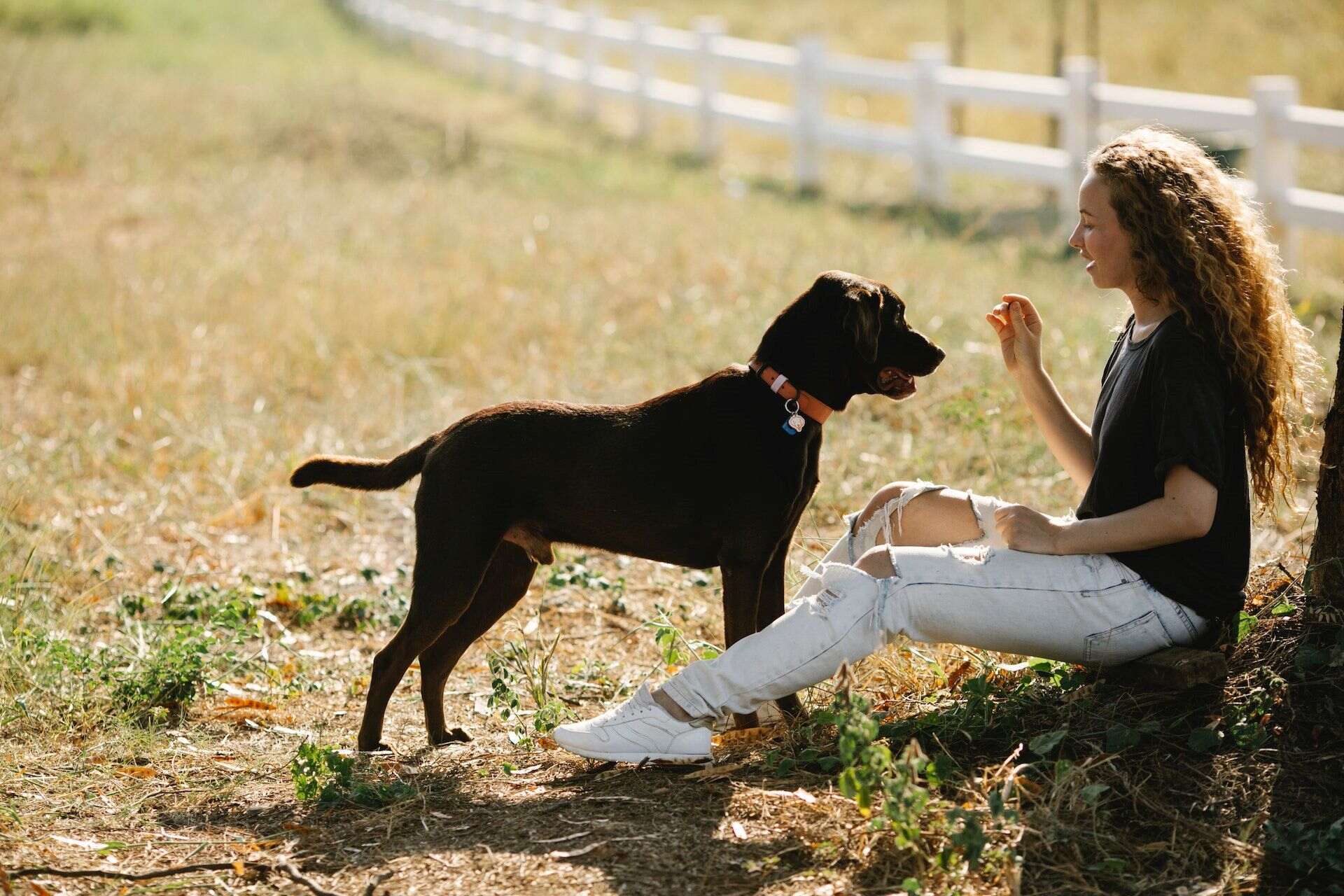 A woman training her dog to stay