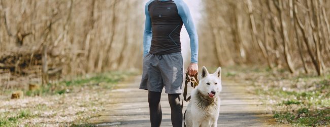 Löpare med hund i skog på en stig