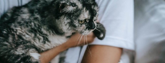 A woman hugging her cat close