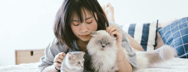 A woman lying in bed with two cats