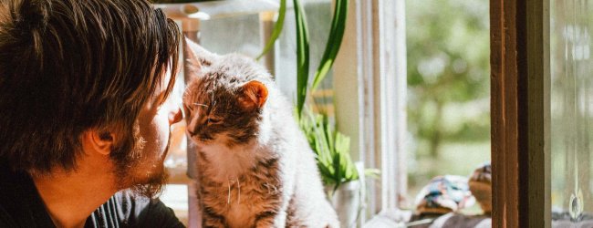 A man spending time with a cat indoors