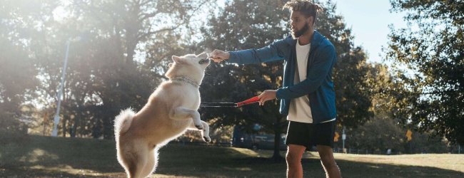 en ung mann leker med hunden sin i parken