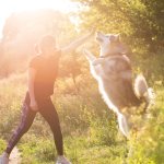 A woman training a dog outdoors