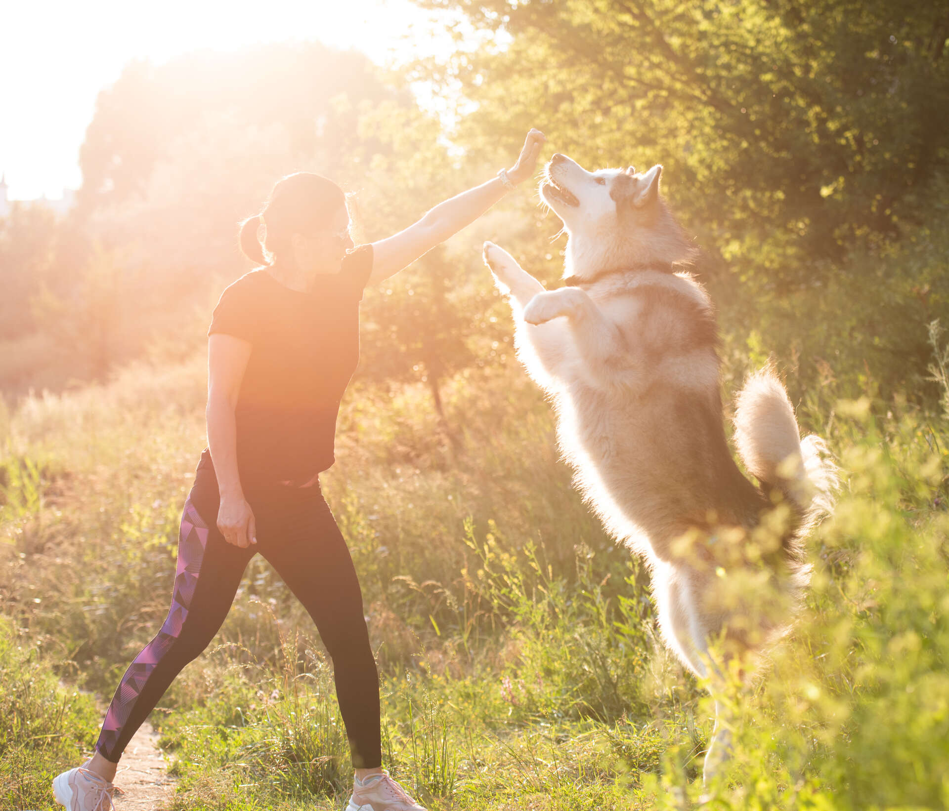 A woman playing with her dog in a garden