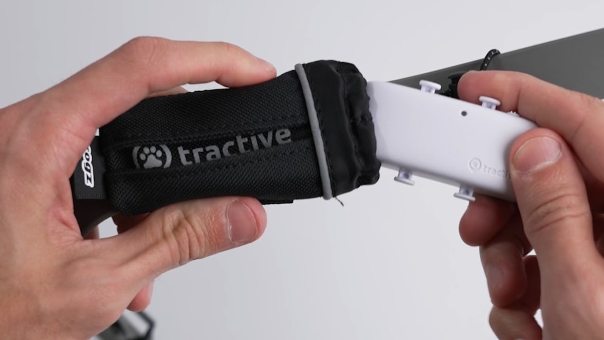 How to put on the Tractive GPS DOG 4 Tracker