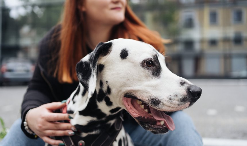 A woman hugging a Dalmatian on the street