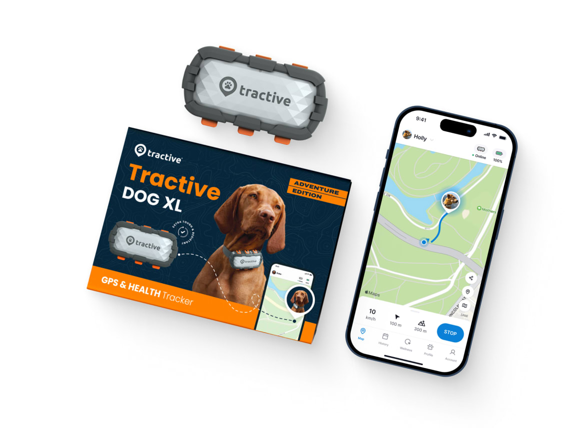 Packaging of Tractive GPS DOG XL Adventure