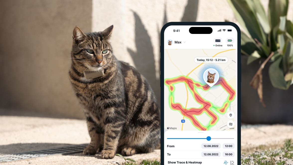 Activity monitoring with new Tractive GPS CAT 4 on smartphone