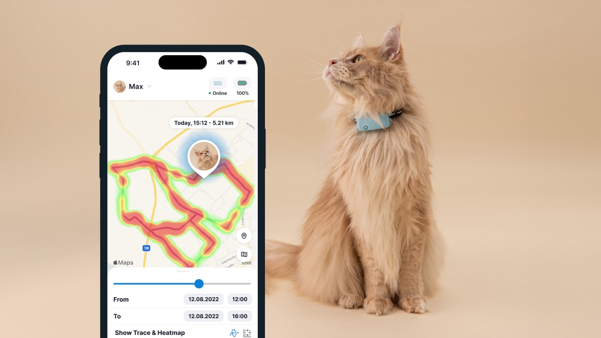 Activity monitoring with new Tractive GPS CAT 4 on smartphone