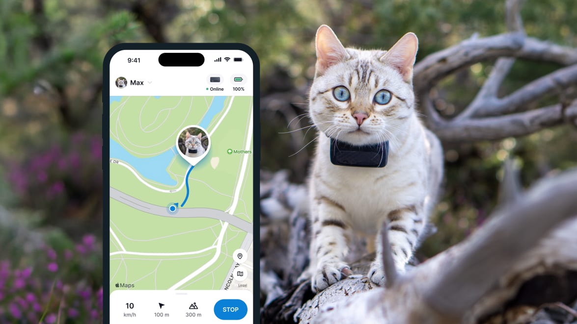 LIVE Tracking with new Tractive GPS CAT 4