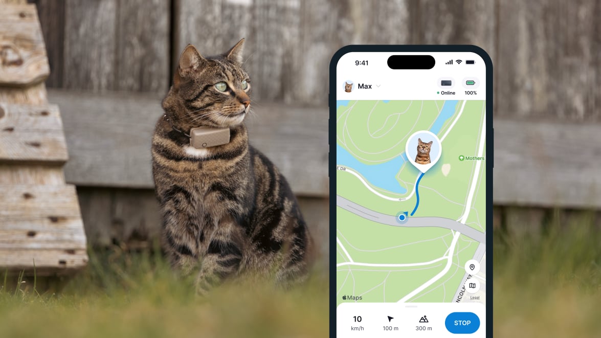 LIVE Tracking with new Tractive GPS CAT 4