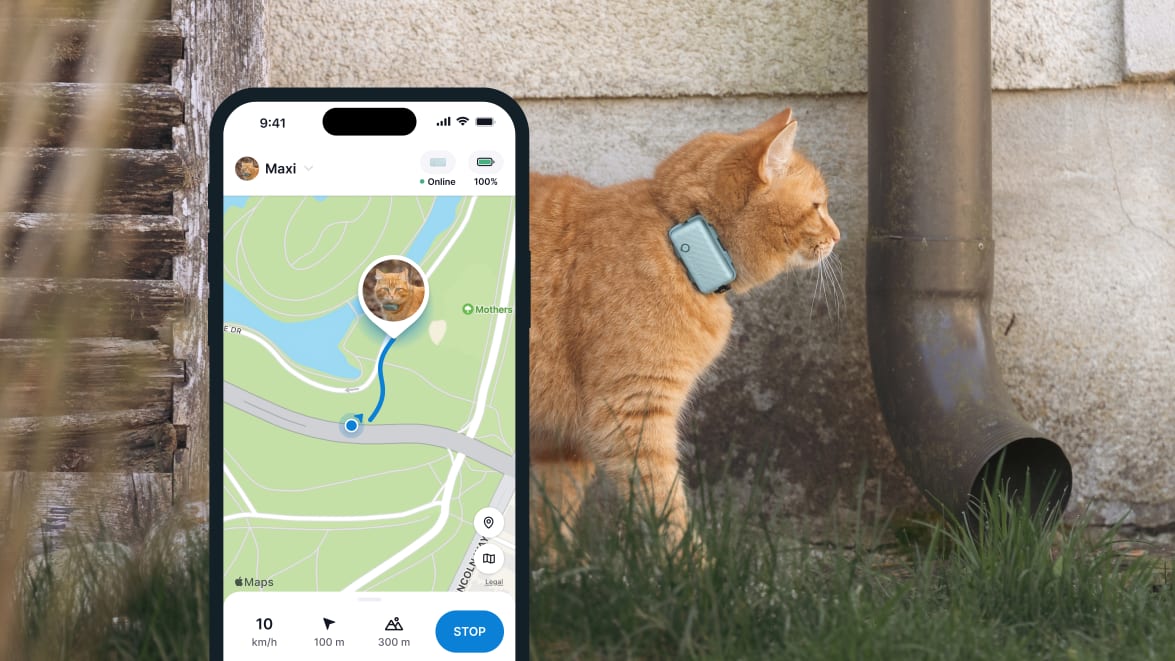 LIVE Tracking with new Tractive GPS CAT 4