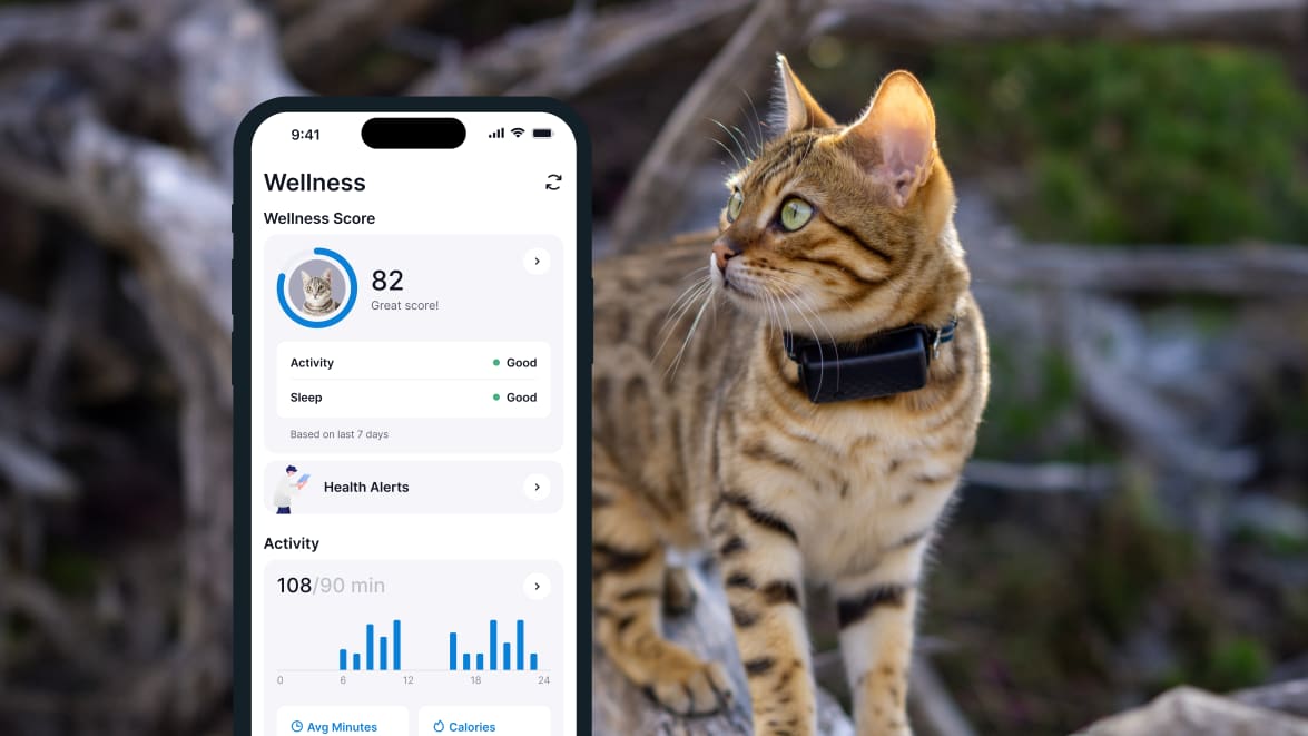 Sleep monitoring with new Tractive GPS CAT 4 on smartphone