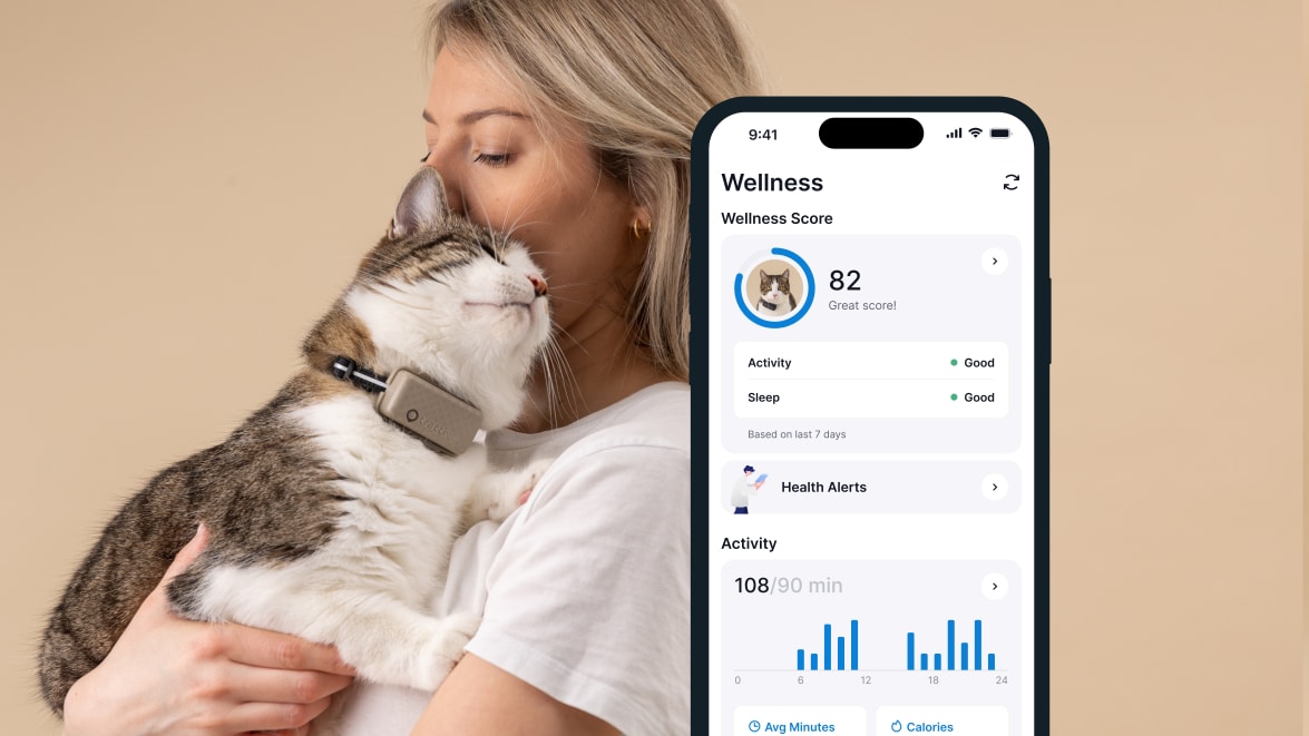 Sleep monitoring with new Tractive GPS CAT 4 on smartphone