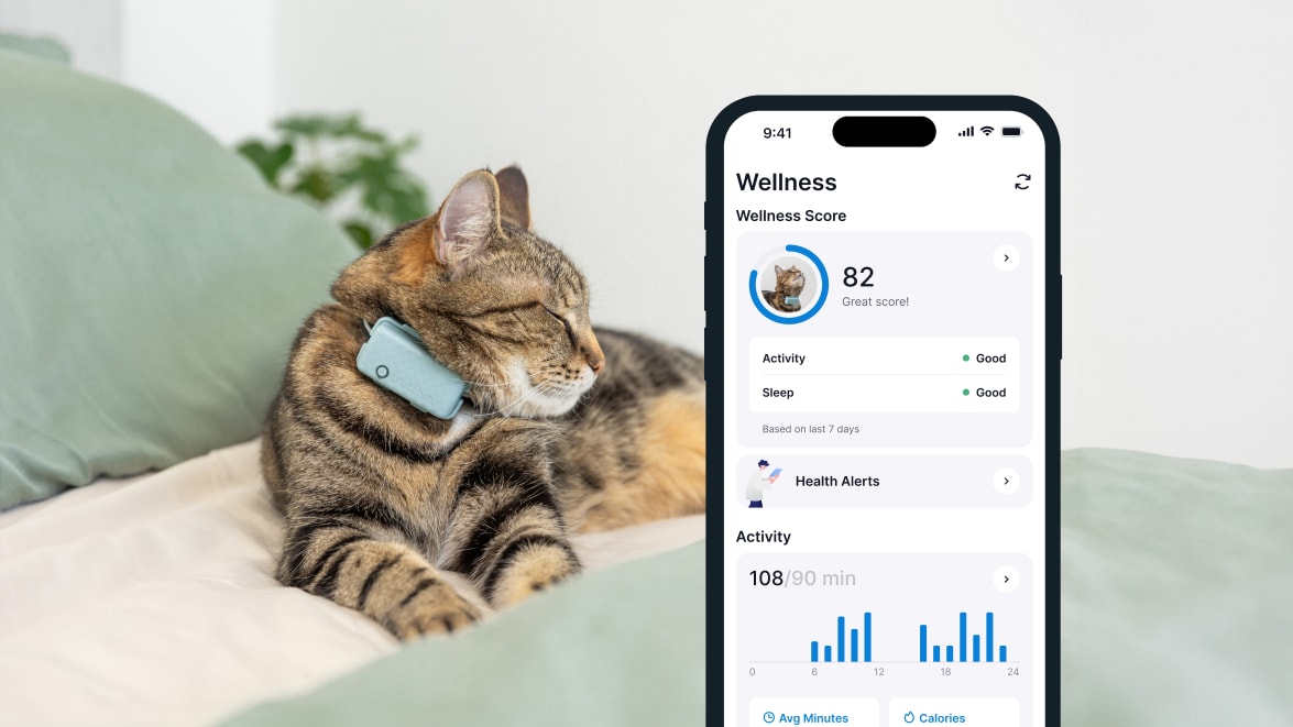 Sleep monitoring with new Tractive GPS CAT 4 on smartphone