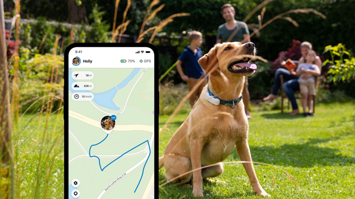 LIVE Tracking with new Tractive GPS DOG 4