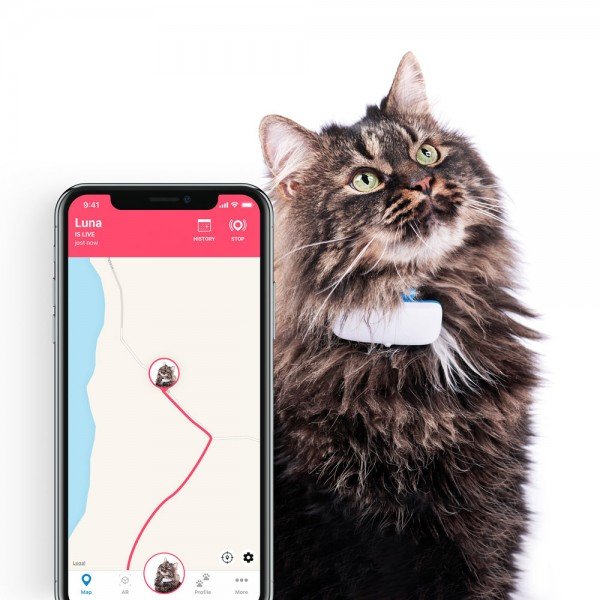 Tractive GPS cat tracker and app