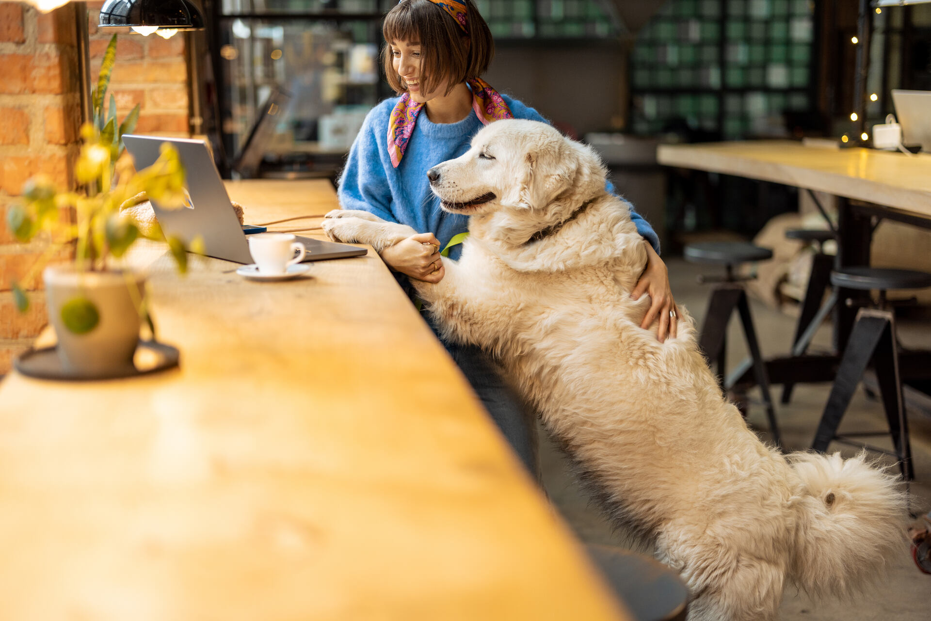 A woman socializing her dog in a coworking space