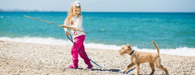 Come insegno al mio cane a non avere paura dell'acqua?