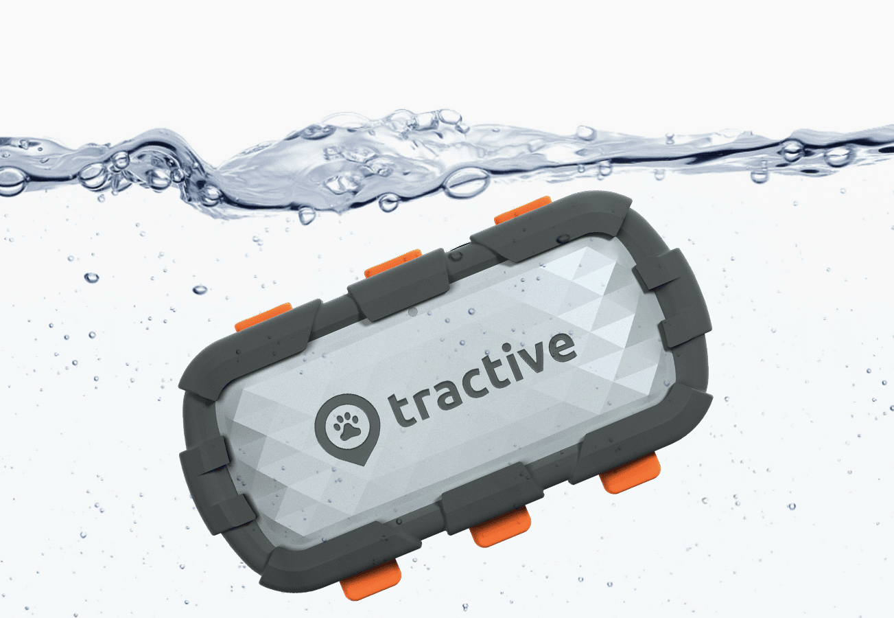 Tracker in water showcasing waterproof feature