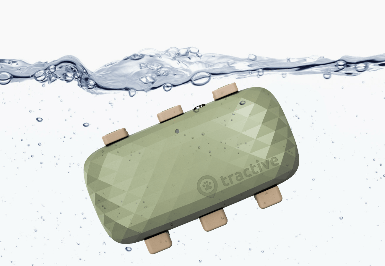 Tracker in water showcasing waterproof feature